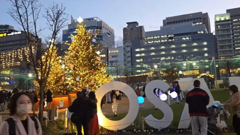 The Christmas trees at the center of the Osaka Christmas market.